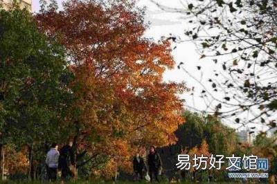 白露的寓意是什么意思 白露是什么意思呢