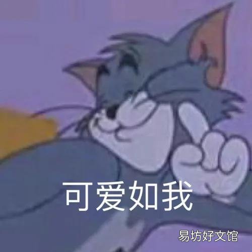 汤姆是什么品种的猫(汤姆属于哪种猫)