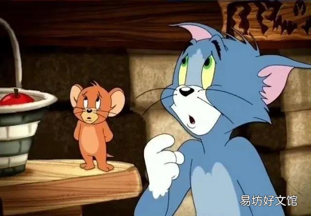 汤姆是什么品种的猫(汤姆属于哪种猫)