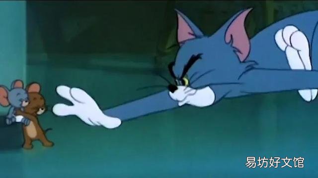 汤姆是什么品种的猫(汤姆属于哪种猫)