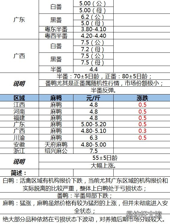 鸭苗批发地址和价格 鸭苗今天报价最新