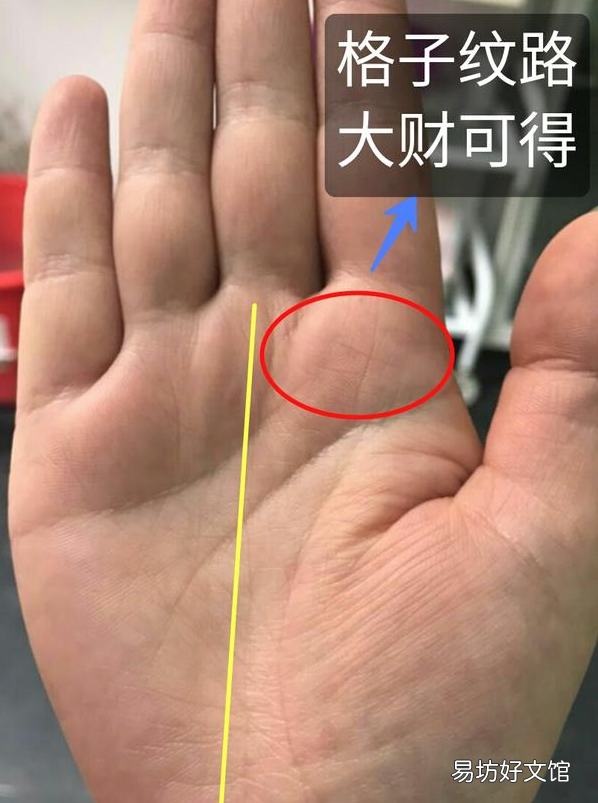 手掌纹看手相图解 教你怎样看手相