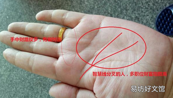 手掌纹看手相图解 教你怎样看手相