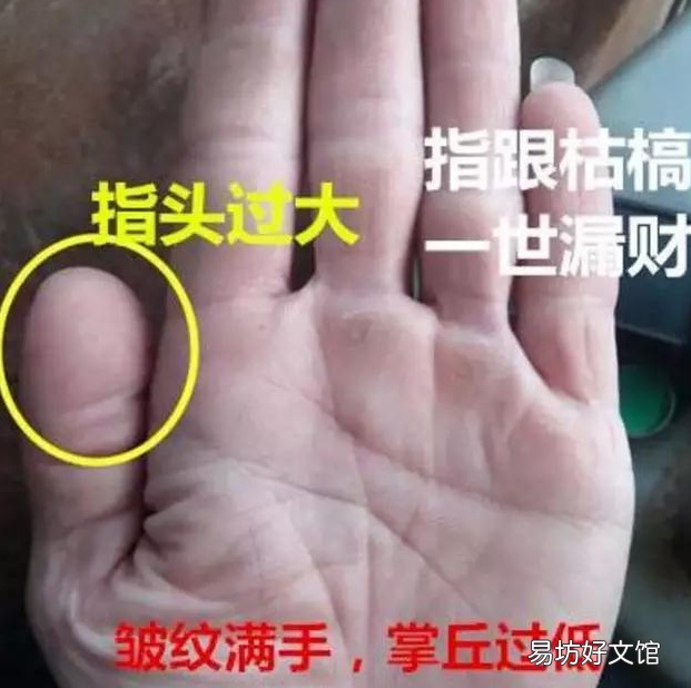 手掌纹看手相图解 教你怎样看手相