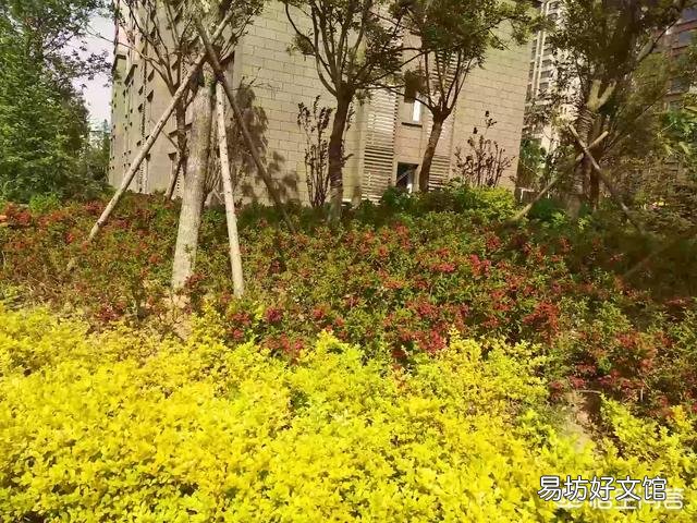 在济南工作,月入2000是一种什么样的体验?
