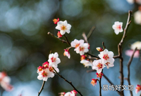 躲春一天都不能见阳光吗