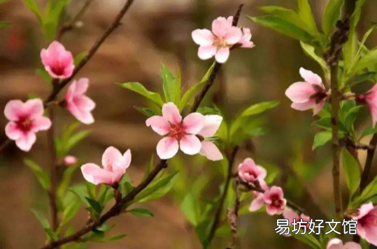 躲春一天都不能见阳光吗