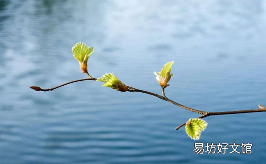 躲春是一天都不能见个别生肖的人吗
