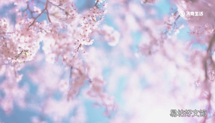 赣州市春季赏花去哪里赣州春季赏花攻略