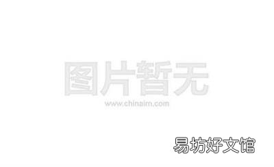 佩奇乔治什么关系 佩奇是男的女的
