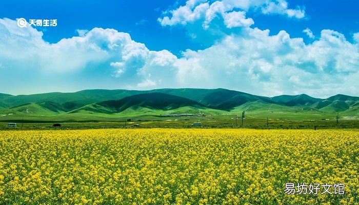 阳泉市春季赏花去哪里 推荐阳泉市春季赏花景点