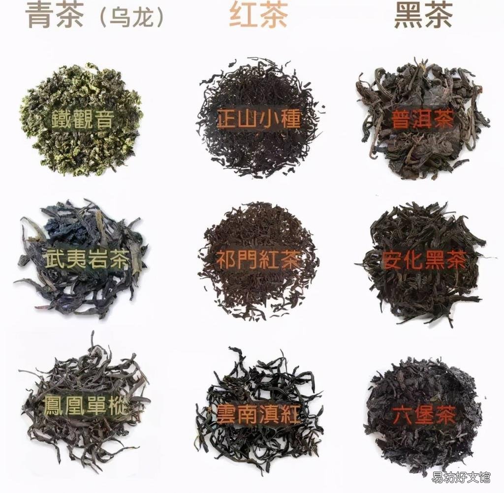 搞懂茶叶没那么难 茶叶知识视频