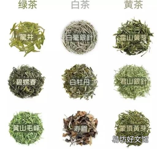 搞懂茶叶没那么难 茶叶知识视频