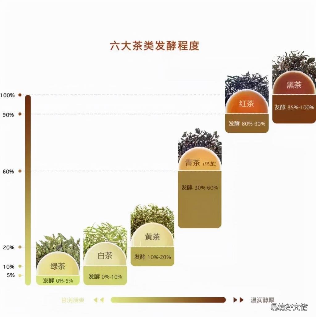 搞懂茶叶没那么难 茶叶知识视频