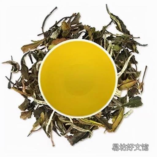 搞懂茶叶没那么难 茶叶知识视频