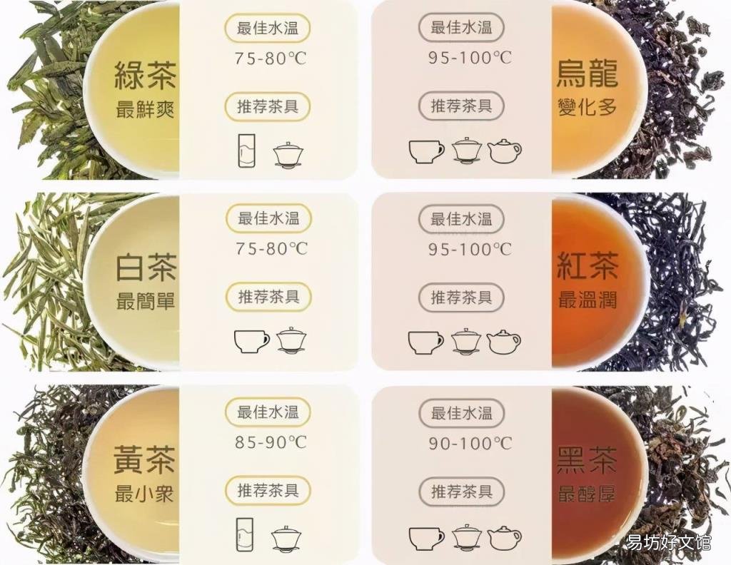 搞懂茶叶没那么难 茶叶知识视频