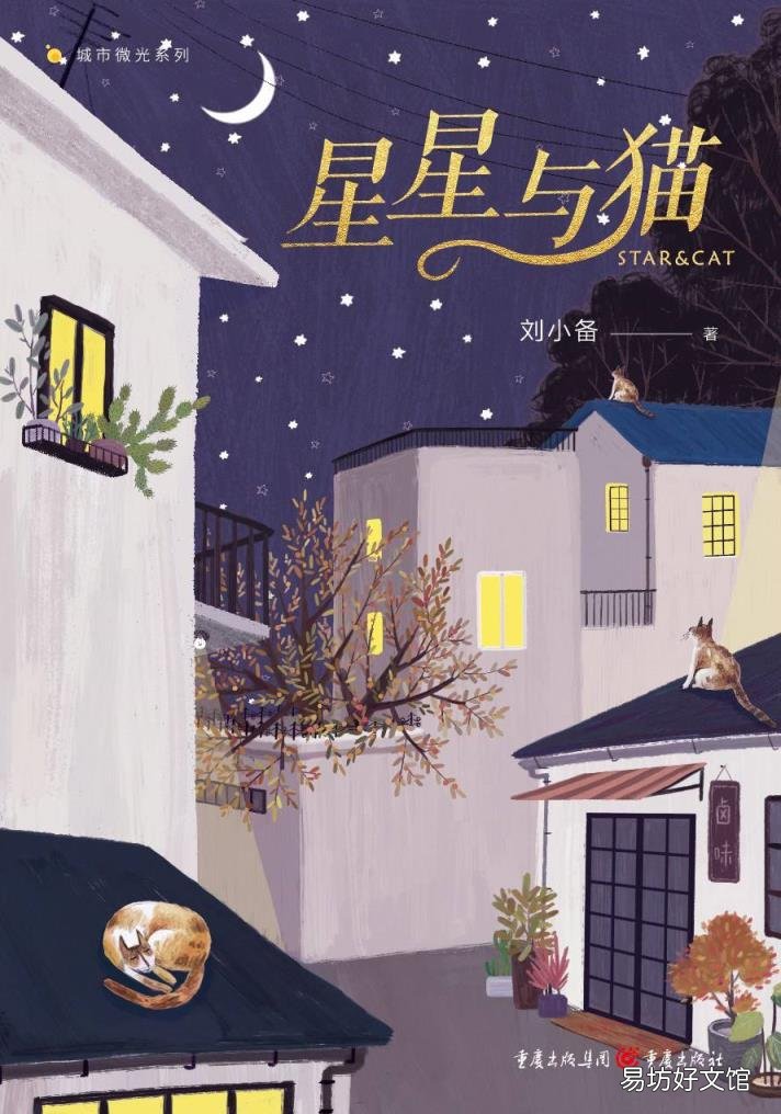 5本情感小说，细腻笔触写到你心坎里 经典情感小说