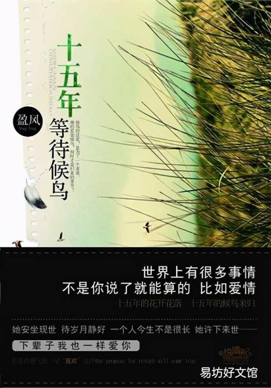 5本情感小说，细腻笔触写到你心坎里 经典情感小说