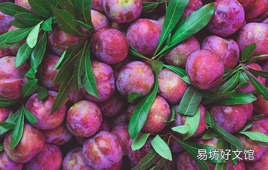 阳朔有哪些特色水果 广西阳朔特产