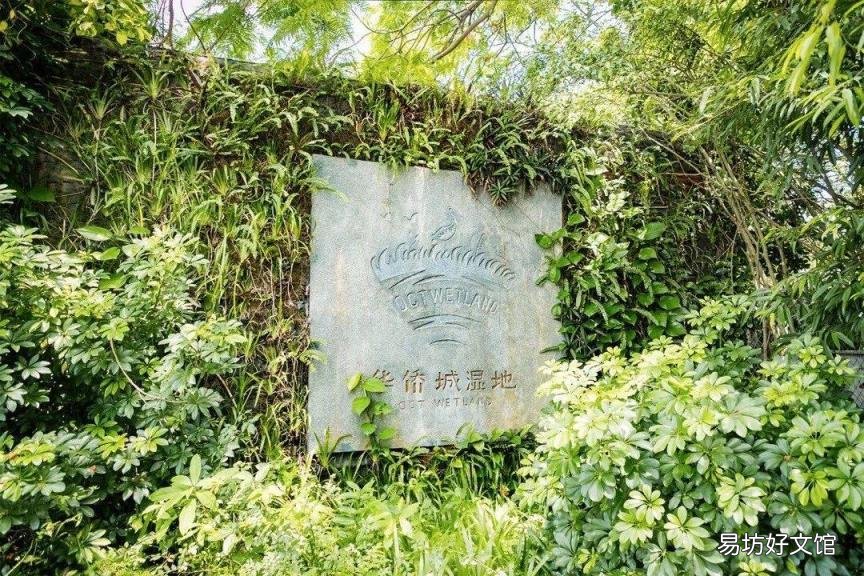 我们在深圳玩足了一整年 深圳最好玩的地方