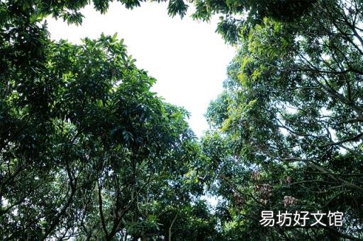 我们在深圳玩足了一整年 深圳最好玩的地方