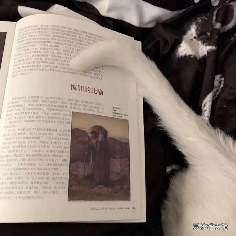 “申请离开人间”QQ自动回复 qq离开自动回复