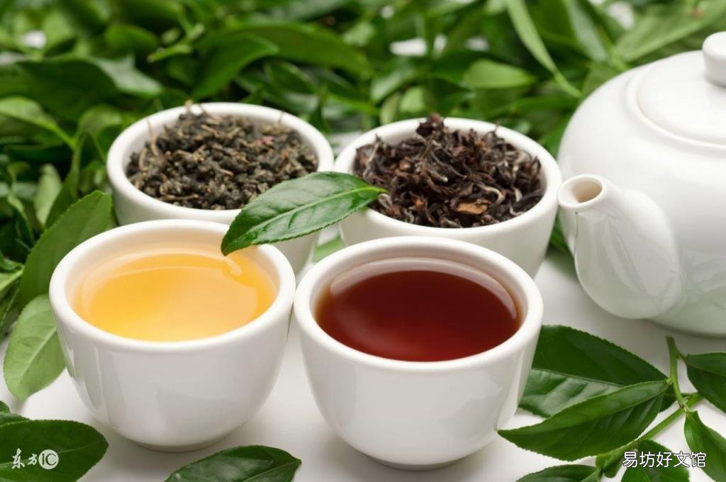 喝乌龙茶真的有效吗? 乌龙茶能减肥吗