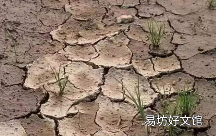 怎样让板结的土壤变松软