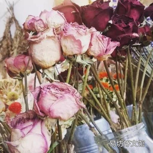 玫瑰干花制作方法 玫瑰干花