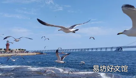 2022今年春节在大连打工的能回家过年吗