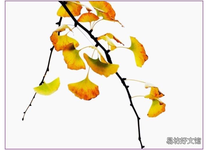 创意儿童画教程 秋天的儿童画