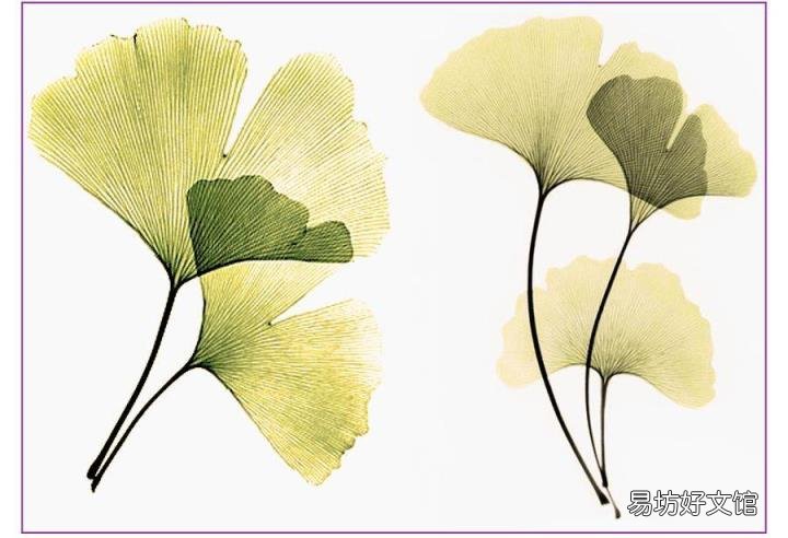创意儿童画教程 秋天的儿童画