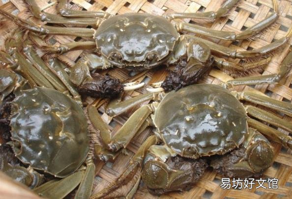 保存螃蟹 螃蟹如何保存