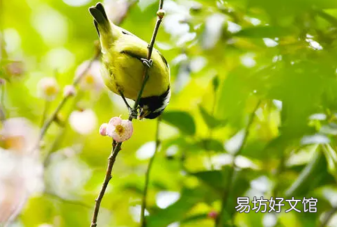 2022年躲春能不能开灯