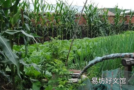2022年躲春能不能开灯