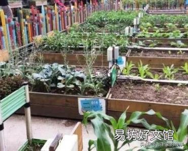 休闲农业与乡村旅游十大体验要素 旅游农业