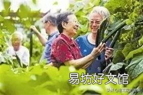 休闲农业与乡村旅游十大体验要素 旅游农业