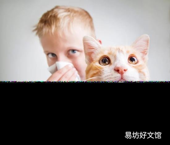 一只眼角痒痒是怎么回事 眼角痒是怎么回事