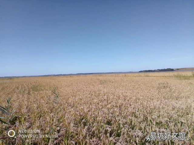 农村20年前一亩地200元租金现在能涨价吗?