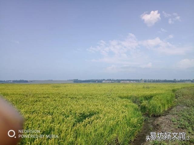 农村20年前一亩地200元租金现在能涨价吗?