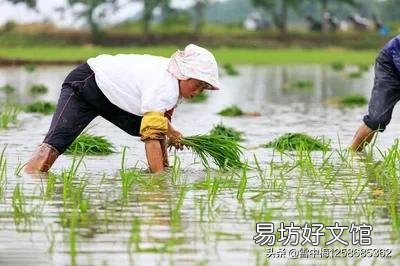 农村20年前一亩地200元租金现在能涨价吗?