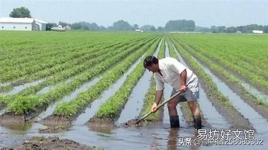 农村20年前一亩地200元租金现在能涨价吗?