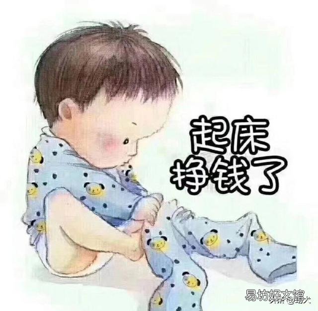 投资十万块养鹅能养多少？怎么样？