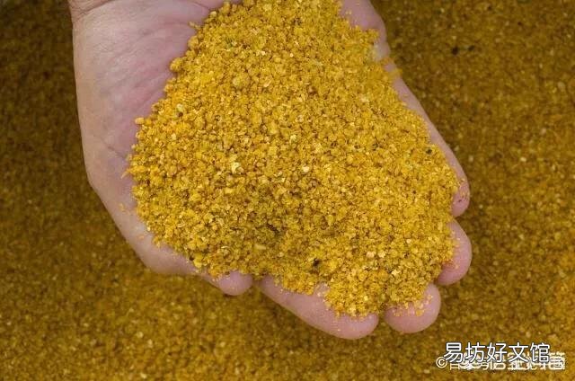 豆腐渣和青储哪个喂羊好?