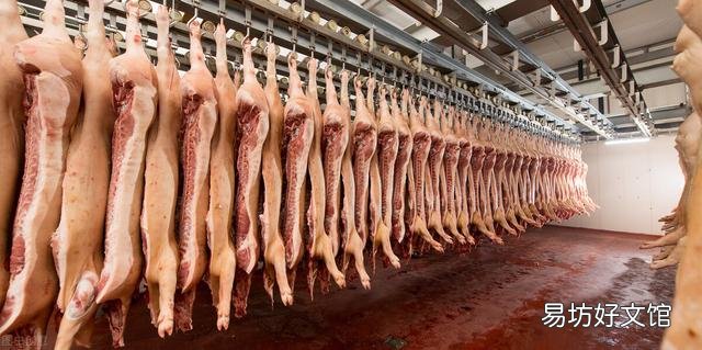猪肉板块近半个月蒸发2300亿,猪肉能否重回“十元时代”?