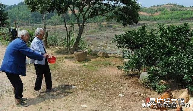 有喜欢农村生活的吗?