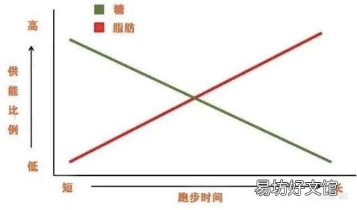 晚上跑步真的会瘦吗?腿会变粗吗? 晚上跑步可以减肥吗