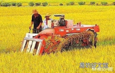 如果你在农村有50亩地,你还会去打工吗?
