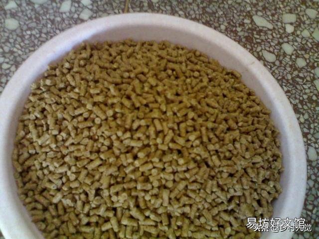小鹅的开口料,小鸡能吃吗?注意什么?