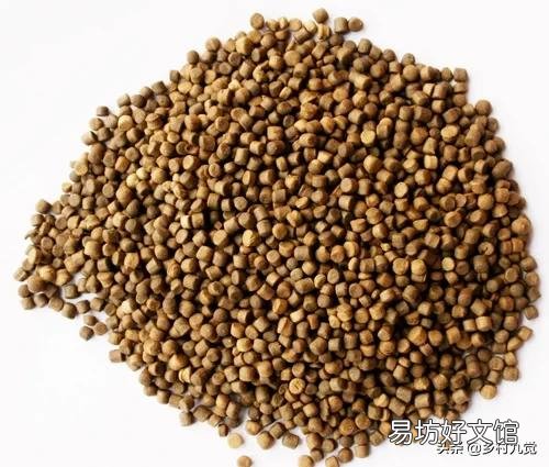 小鹅的开口料,小鸡能吃吗?注意什么?